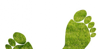 impronta_ambientale