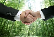 Finanza green, finanziamenti alle aziende sostenibili
