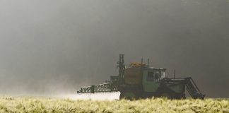 Rischio alimentare: pesticidi in agricoltura