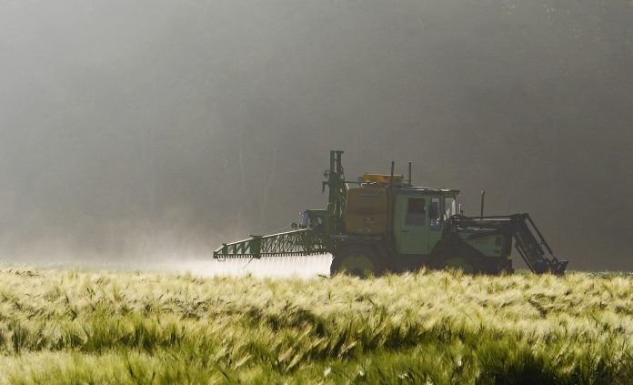 Rischio alimentare: pesticidi in agricoltura
